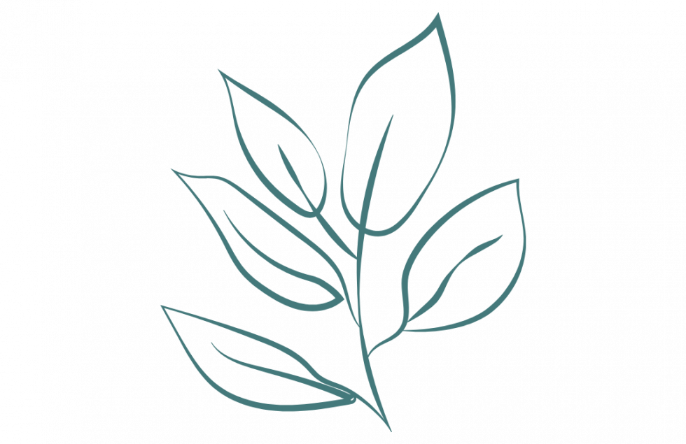 Craft Culture Okanagan Craft & Artisan Markets